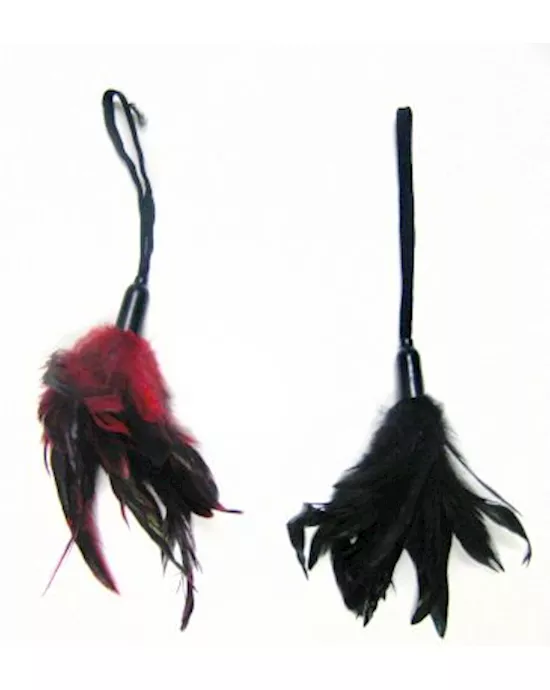 PleasureFeather