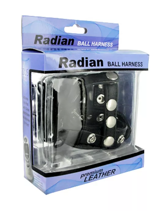 C&b Harness T-style Divider Leather