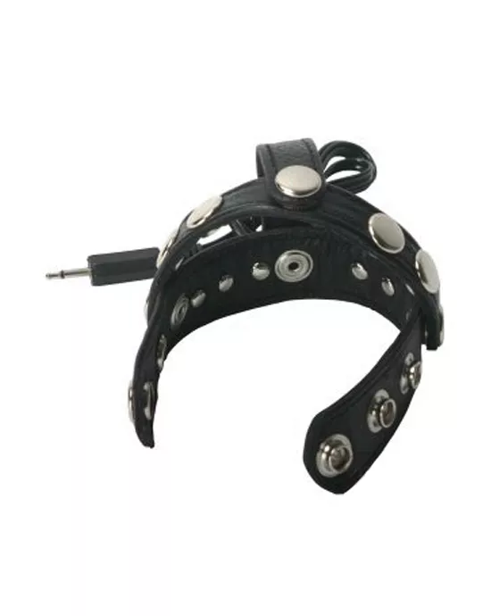 C&b Harness T-style Divider Leather