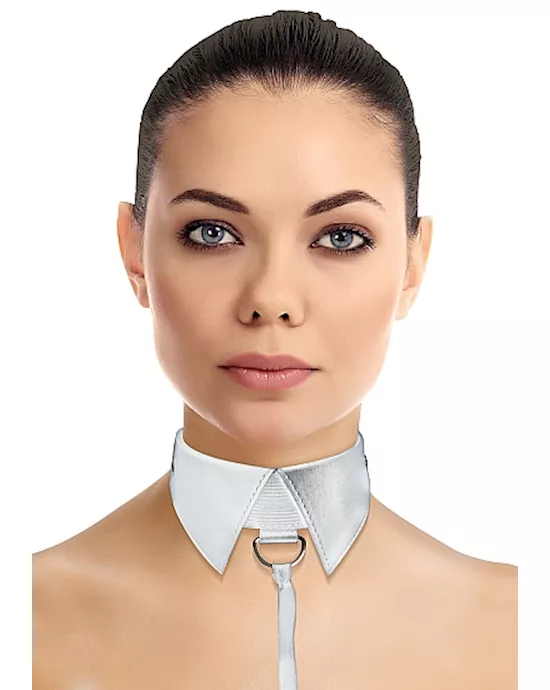 ClassicCollarwithLeash-Black