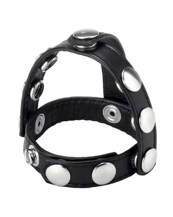 Snap-on Cock And Ball Harness
