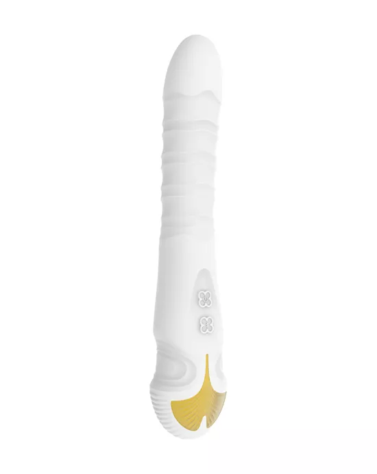 G-SpotVibe