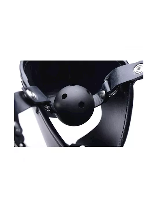 Pup Puppy Play Hood and Breathable Ball Gag
