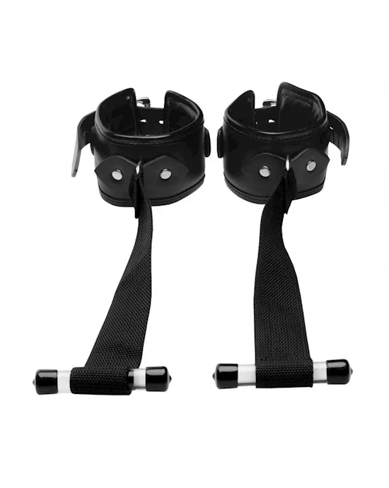 Deluxe Over the Door Restraint System