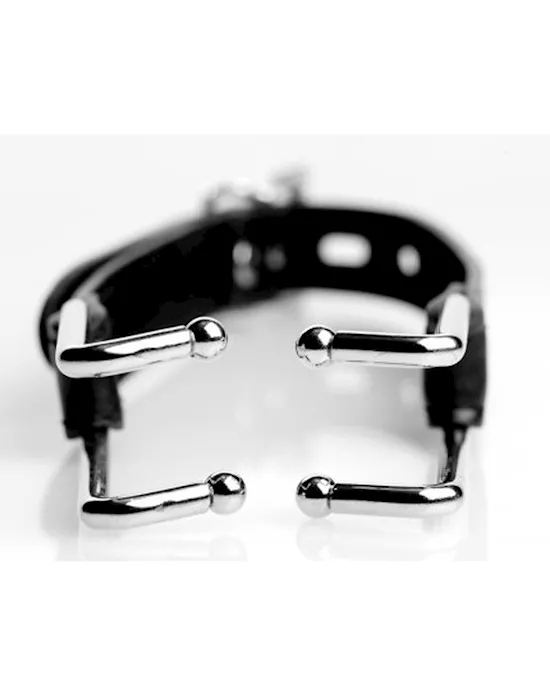 Claw Hook Mouth Spreader