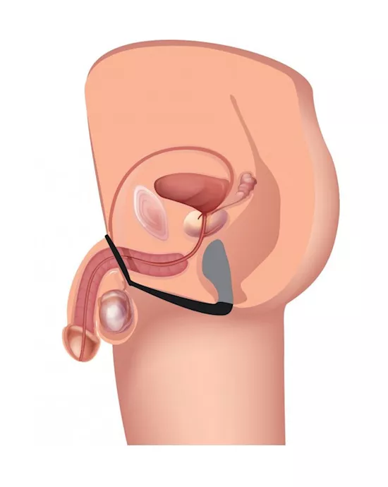 Explorer II Prostate Stimulator and Cock Ring