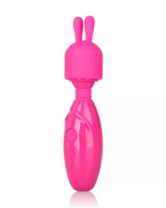Tiny Teasers Bunny