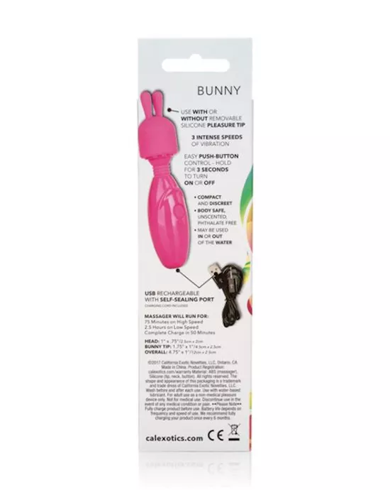 Tiny Teasers Bunny