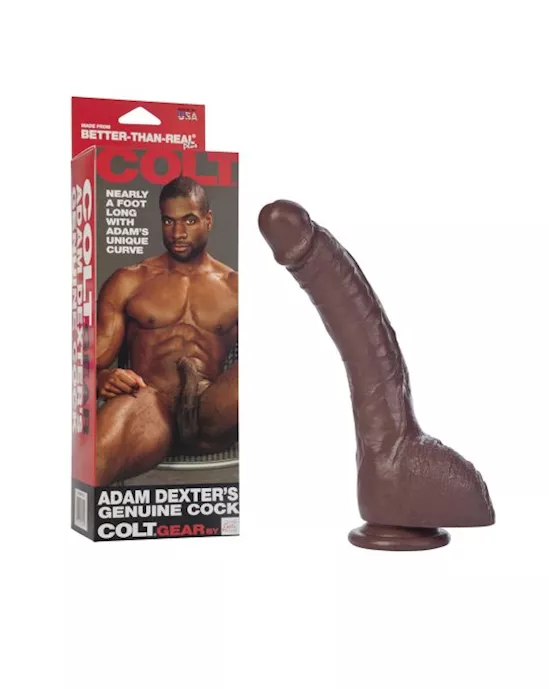 COLT Adam Dexter Cock