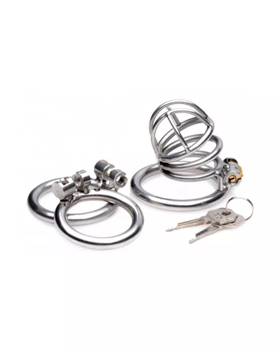 The Pen Deluxe Locking Chastity Cage