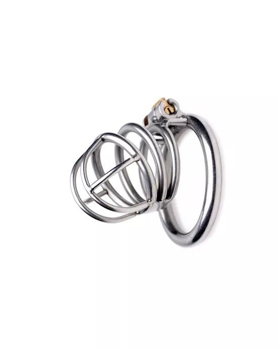 The Pen Deluxe Locking Chastity Cage
