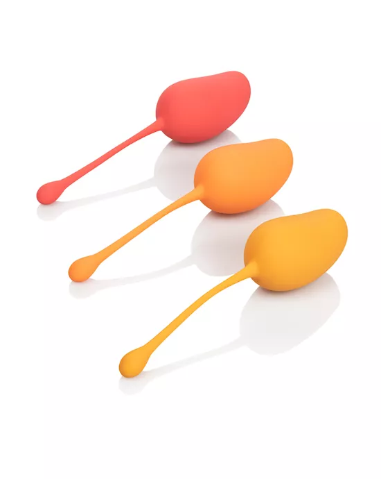 CalExotics Kegel Training Set
