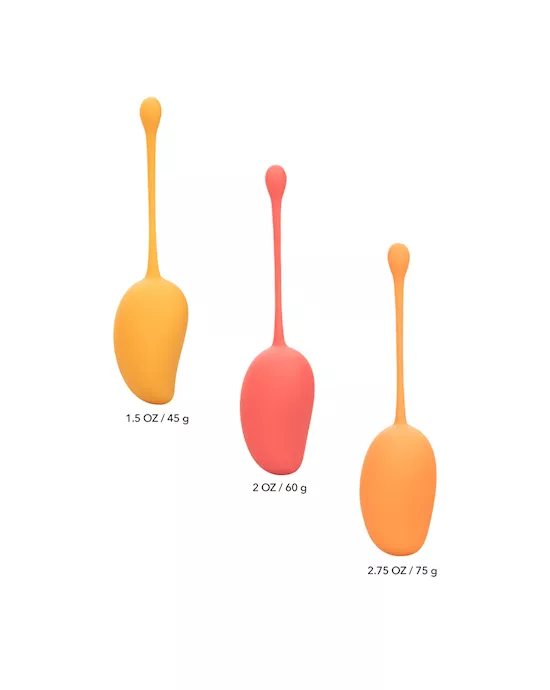 CalExotics Kegel Training Set