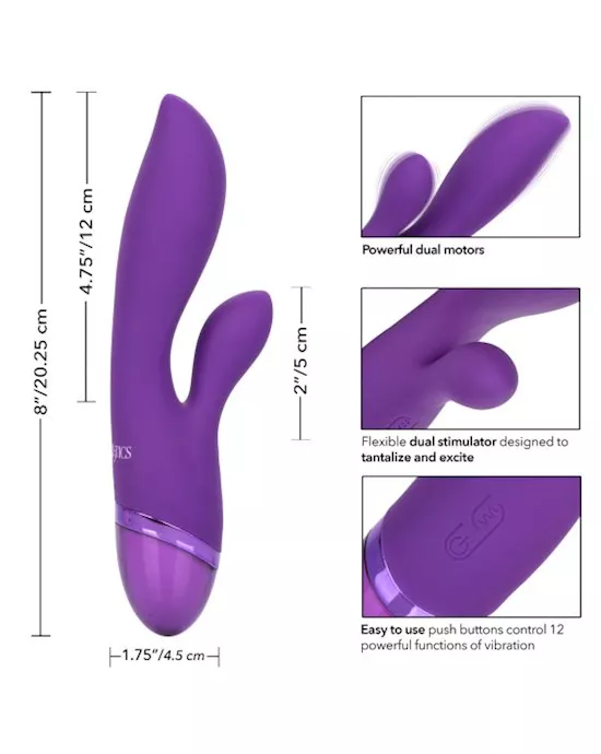 Aura Dual Lover
