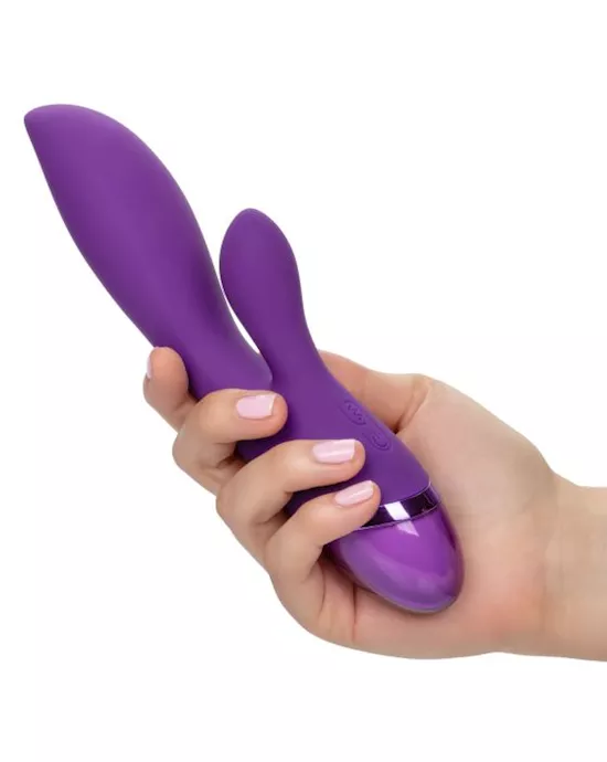 Aura Dual Lover