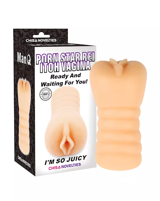 Porn Star ReiItoh Vagina