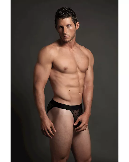Star Brief