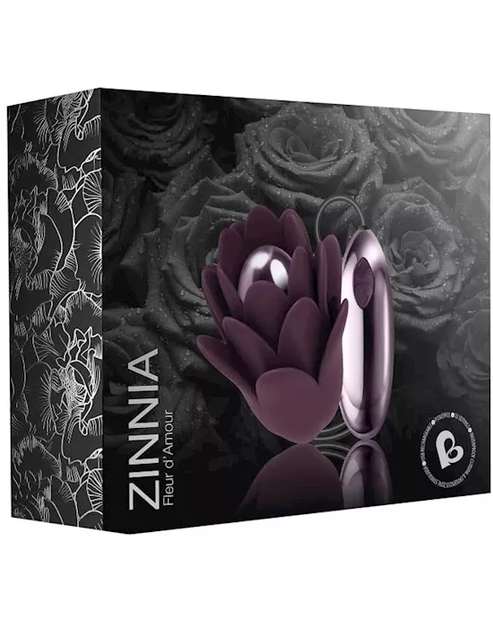 Zinnia