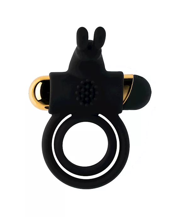 Share Satisfaction CASTOR Vibrating Cock Ring