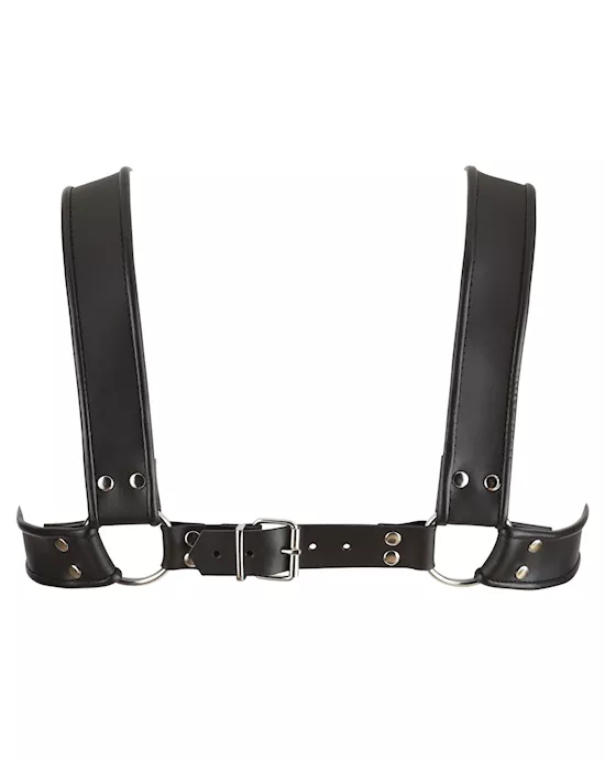 Leather Chest Harness