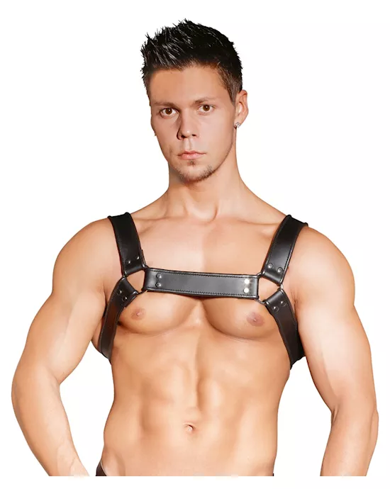 Leather Chest Harness