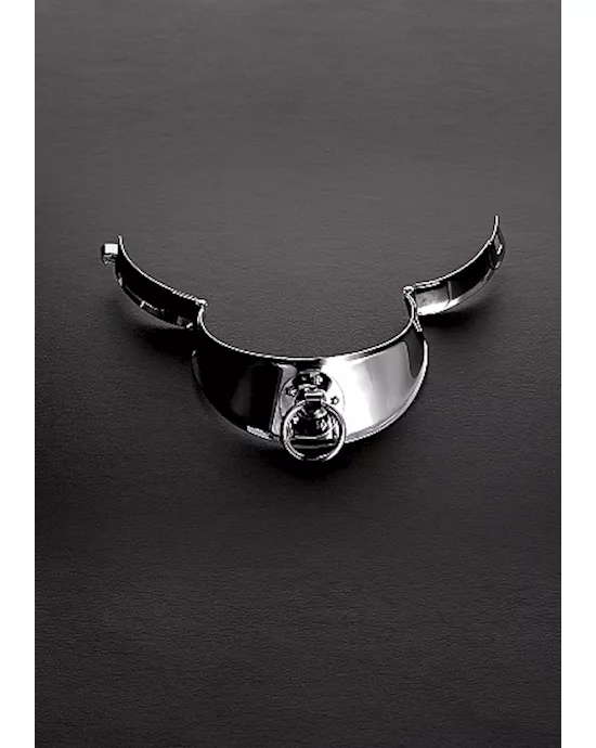 Locking Men's Collar with Ring 13.5 Inches