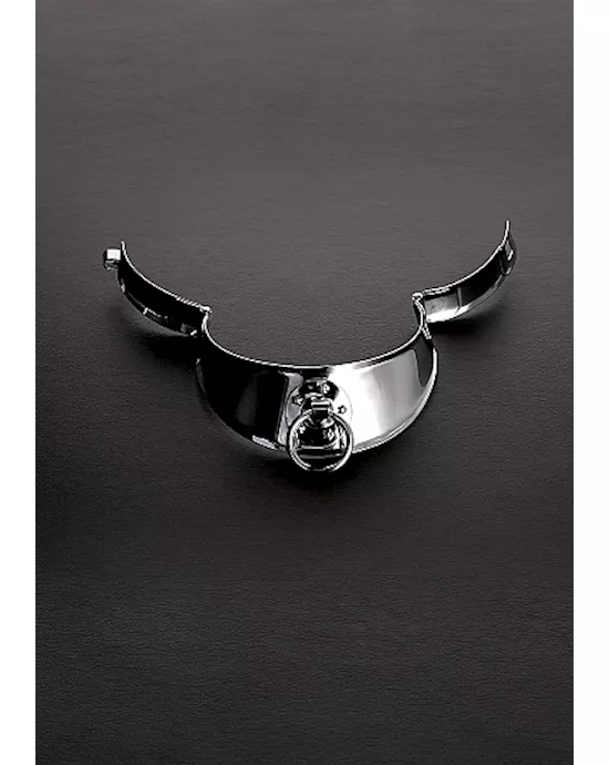 Locking Men's Collar with Ring