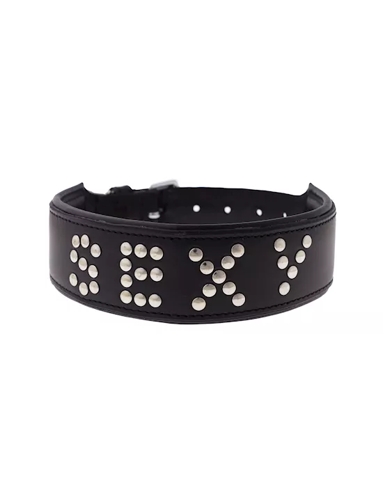 BoundXSexyStuddedCollar