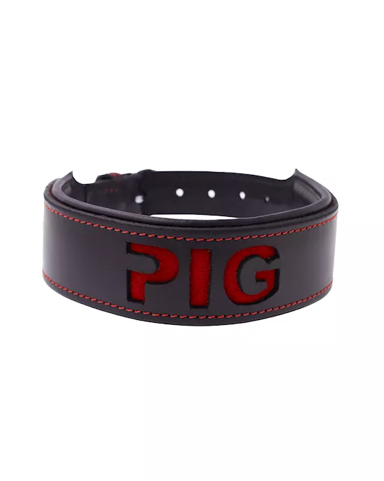 BoundXPigCutOutCollar
