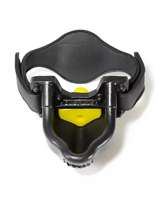 Urinal Gag