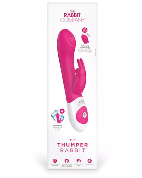 THE THUMPER RABBIT
