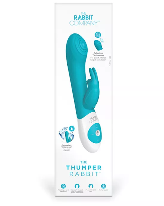 THE THUMPER RABBIT