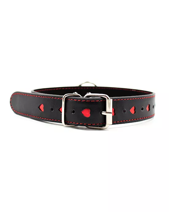 Full Control Collar and Leash