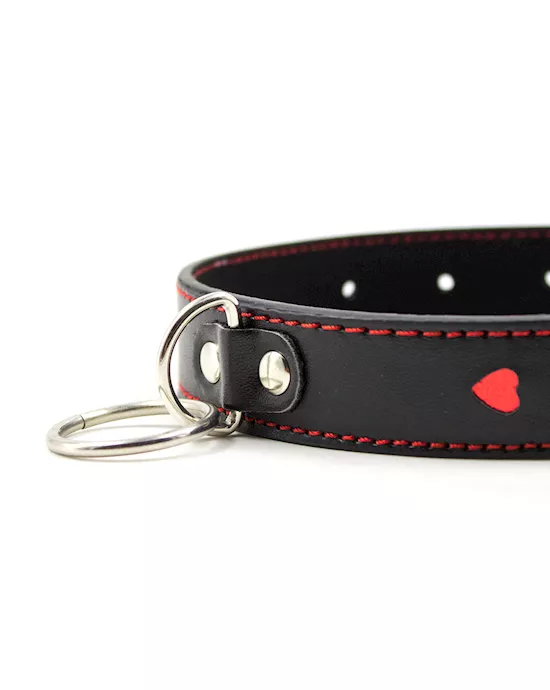 Full Control Collar and Leash