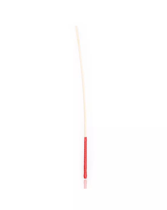 Disciple Cane