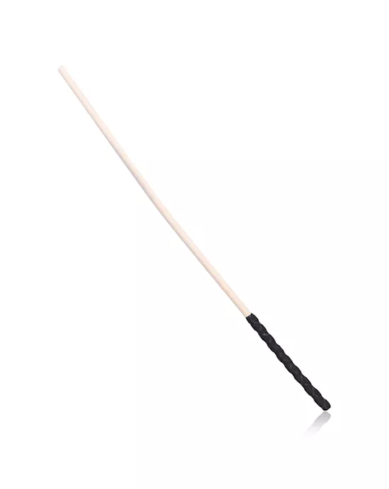 Sturdy Discipline Cane
