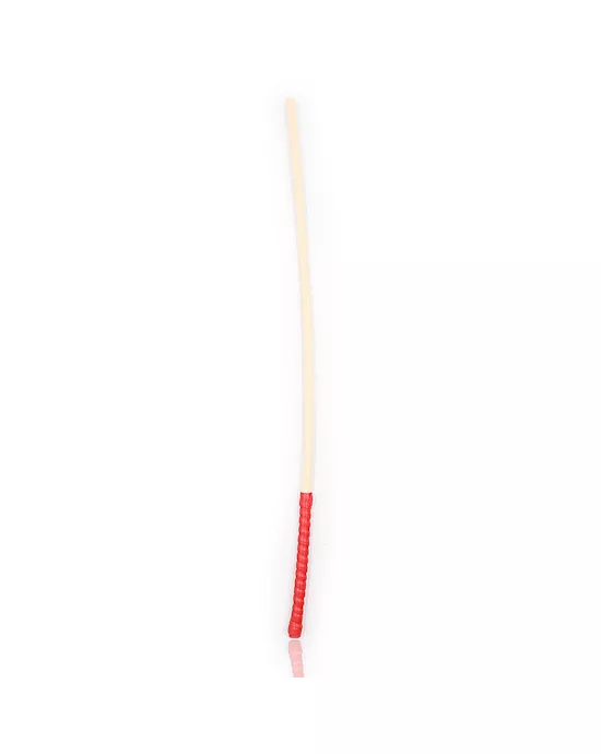 Sturdy Discipline Cane