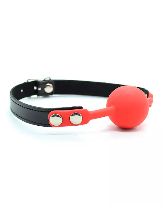 The Classic Ball Gag