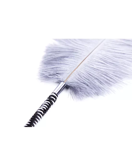 Plume Tickler