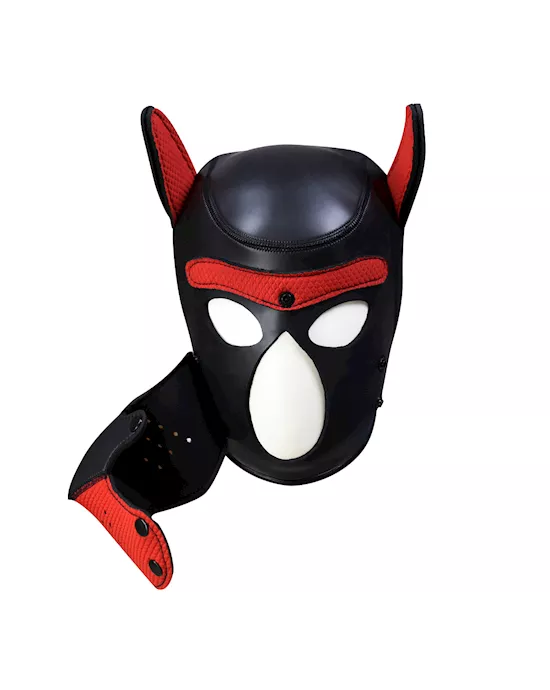 Mans Best Friend Puppy Hood