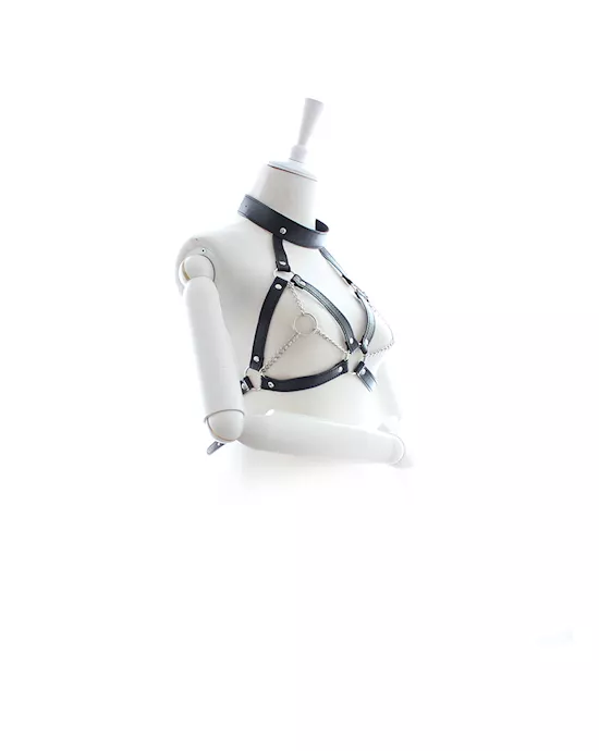 Greater Satisfaction Harness