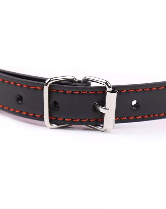 Dirty Dog Bone Bit Gag