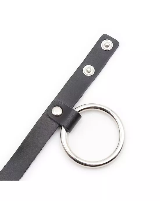 Metal Cock Ring and Ball Divider