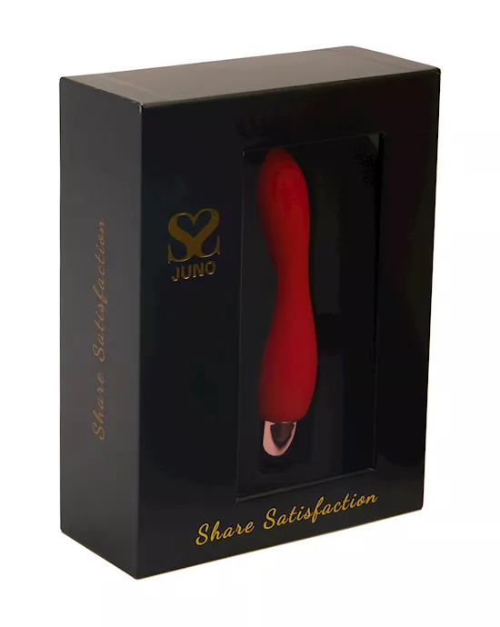 Share Satisfaction JUNO Luxury Mini Vibrator
