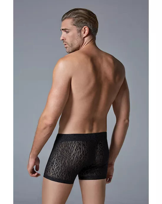 Luca Leopard Boxer