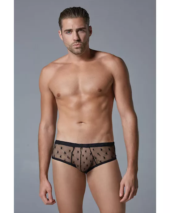 Luca Star Brief
