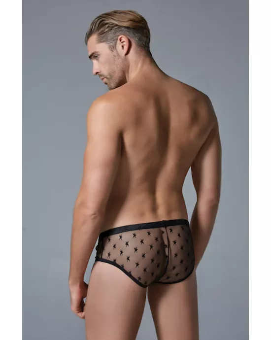 Luca Star Brief