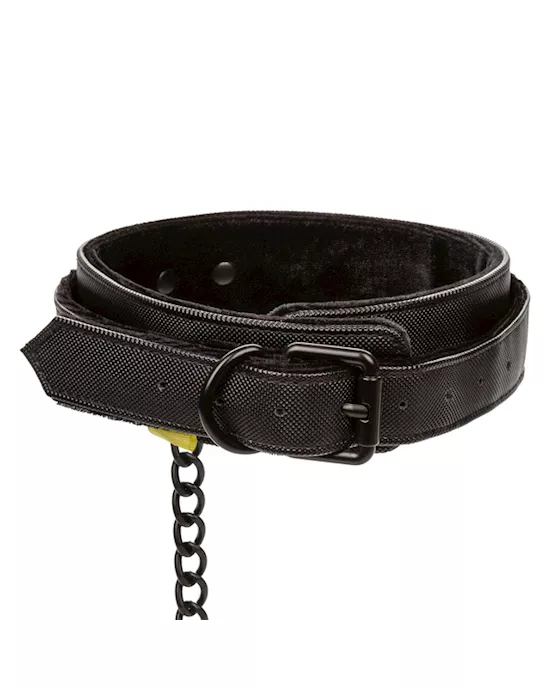 Boundless Collar and Leash