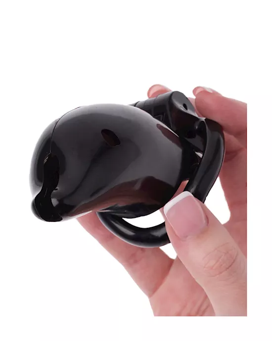 KinKi Dolphin Chastity Cage