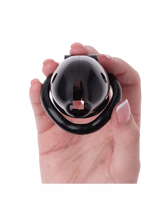 KinKi Dolphin Chastity Cage